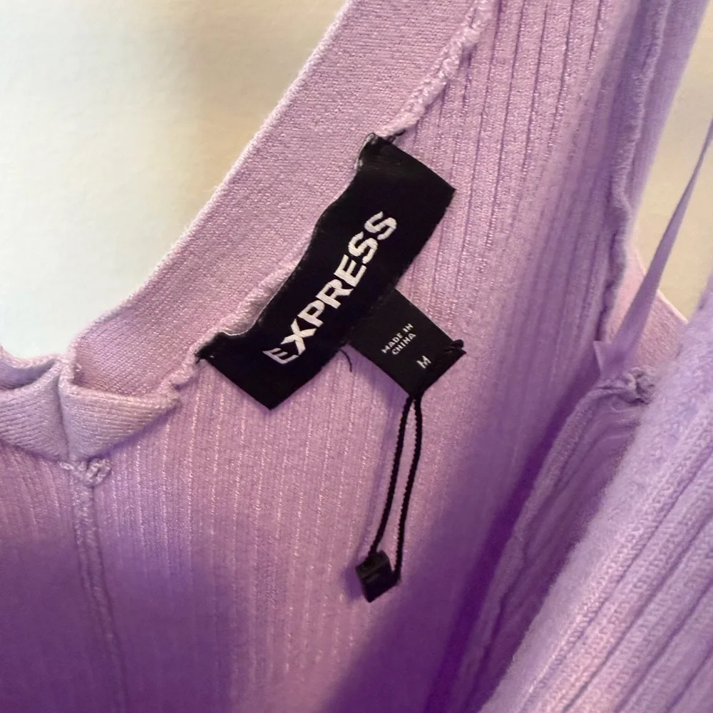 Express Lavender V-Neck Ribbed Knit Mini Dress - Picture 2 of 4